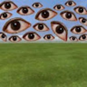 Meet your Posher, Lena